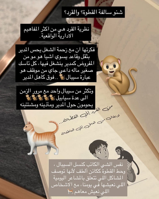 نظرية القطط