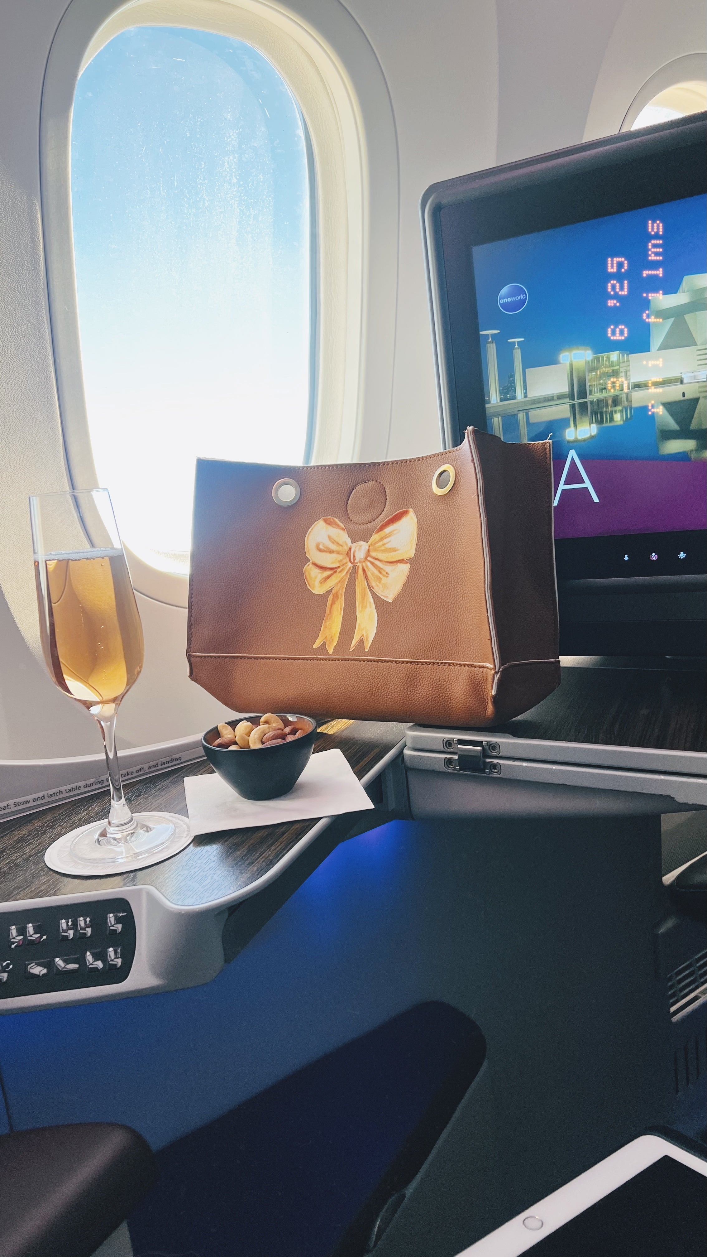 the bow organizer bag فيونكة